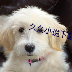 久久小说下载 （怒目）