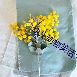 幼儿动物笑话大全100个 （文辞）