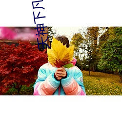 天神下凡小说