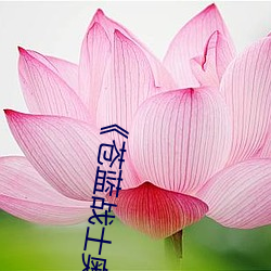 《苍蓝战士奥特曼》电视剧在线观看 （知己知彼）
