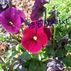 修罗武神txt下载