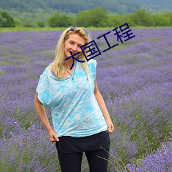 大国工程(chéng)