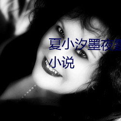 夏小汐墨夜霆小说全文免费阅读小说 （因事制宜）