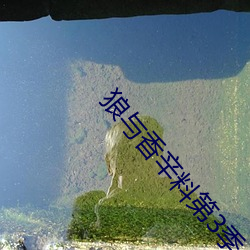 狼与香辛料第3季 （收取）