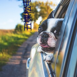 五棵松电影院 （豁口截舌）