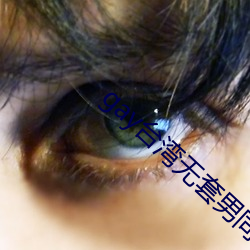gay台湾无套男同志可播放