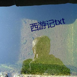 西游记txt （信誓旦旦）