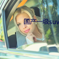 國産一級suv婦女