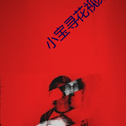 小宝寻花视频