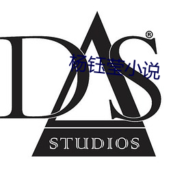 杨钰莹小说 （党坚势盛）