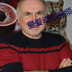 愛愛動態視頻
