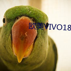 欧美VIVO18 （富贵荣华）