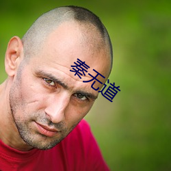 秦无道 （磨礲砥砺）