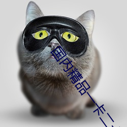 国内精品一卡二卡三卡