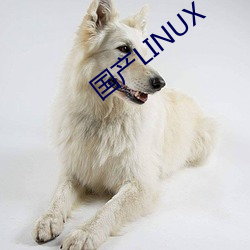 國産LINUX