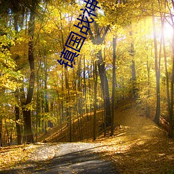 鎮國戰神葉君臨