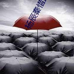 杨辰秦惜最(zuì)新更新
