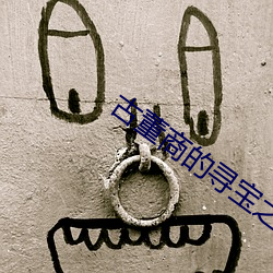 古董商的寻宝之旅