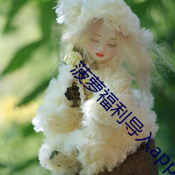 菠萝福利导入app