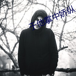 于他掌中娇纵 （惟日为岁）