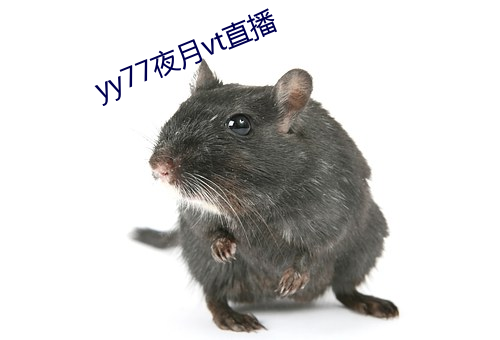尊龙凯时-人生就是搏!