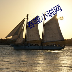 吞噬小说网