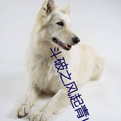 斗破(破)之(之)风起青山(山)