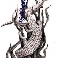 杨老师的写作技巧