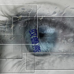 驭兽斋