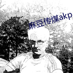 麻豆传煤akp