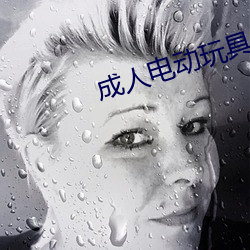 成人(rén)电动玩具