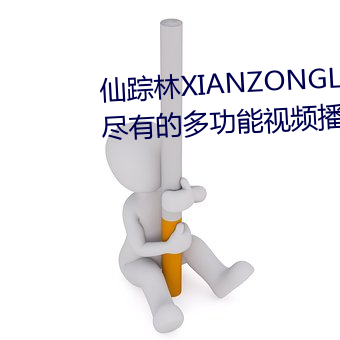 仙踪(蹤)林XIANZONGLIN:一款应(應)有尽(盡)有的(的)多功(功)能视频播放软件