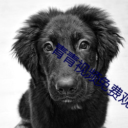 青青視頻免費觀看在線播放