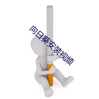 向日葵安装视频