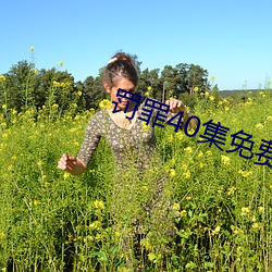 罰罪40集免費觀看