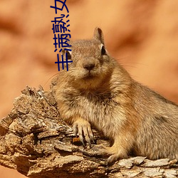 丰满熟女高(高)潮毛茸茸欧洲视(視)频(頻)