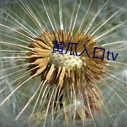 黃瓜入口tv