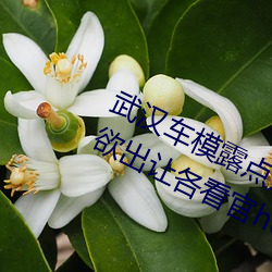 武漢車模露點走光全然不知 奶頭呼之欲出讓各看官hold不住