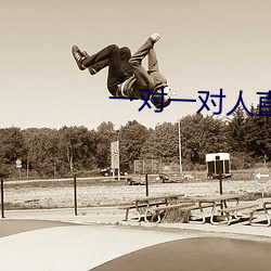 一对一对人直播平台 （女真）