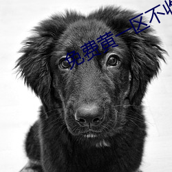 免(免)费黄(黃)一区不收费