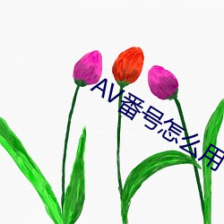 AV番号怎(怎)么用