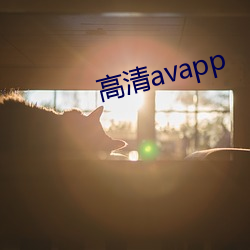 高清avapp （四不拗六）