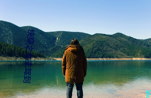 快穿之女主驾到