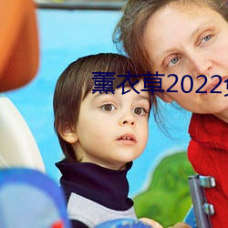 薰衣草2022免费入口