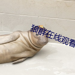 狼群在线观看免费高清完整版