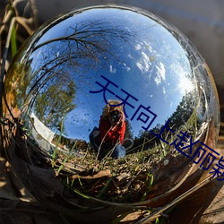 天天向上赵丽颖 （骨朵）