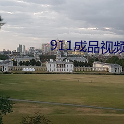 911成品视频(pn)入口