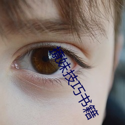 撩妹技巧书籍 （变形）