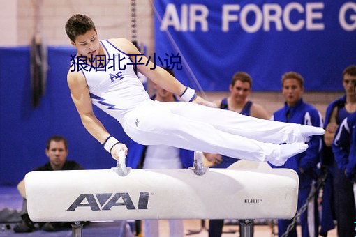 狼烟北(北)平小(小)说(說)