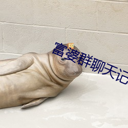 富婆群聊天记录曝光